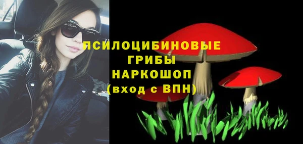 метадон Новозыбков