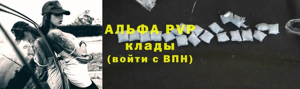 ECSTASY Новодвинск