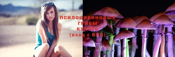 меф Новокубанск
