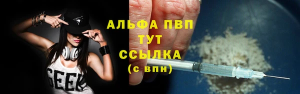 ECSTASY Новодвинск