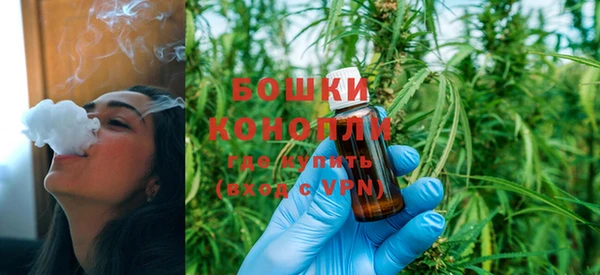 метадон Новозыбков